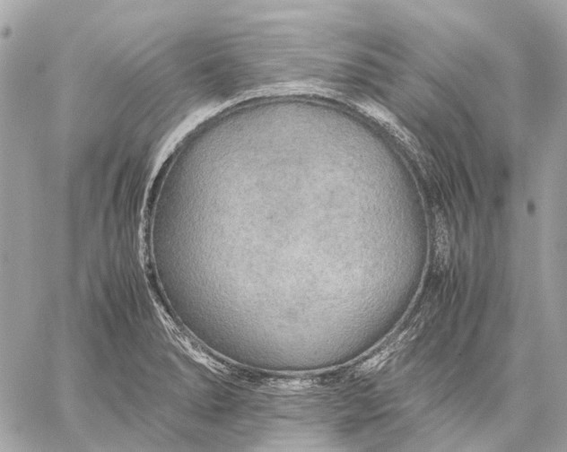 X0000059231278200511041232