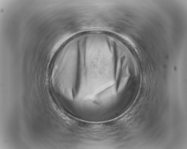 X0000059231279200511041232