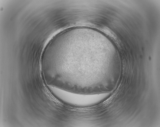 X0000059231280200511041232