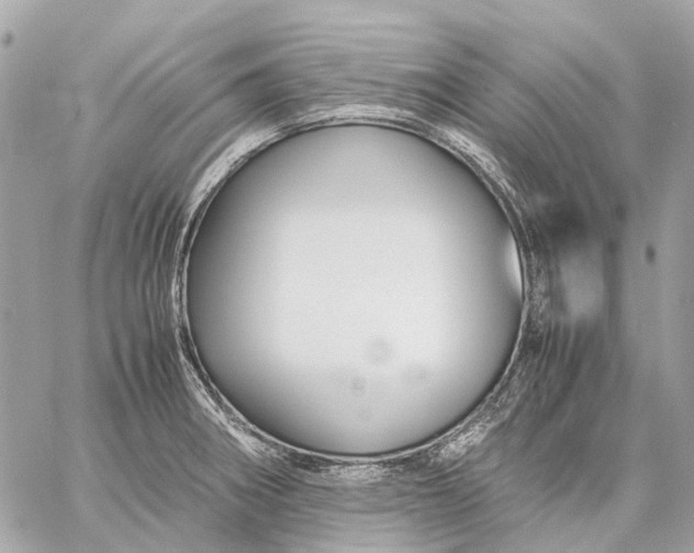 X0000059231282200511041232