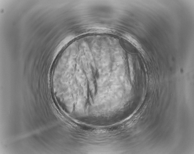 X0000059231283200511041232