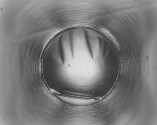 X0000059231284200511041232