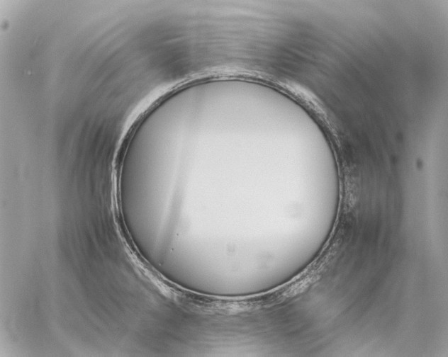 X0000059231286200511041232