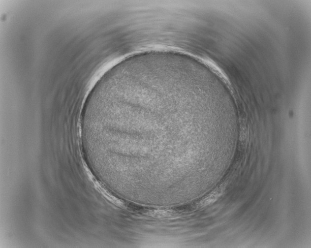 X0000059231287200511041232