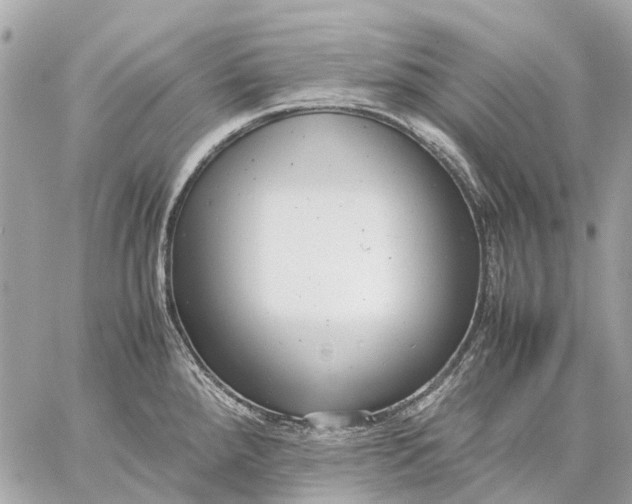 X0000059231288200511041232