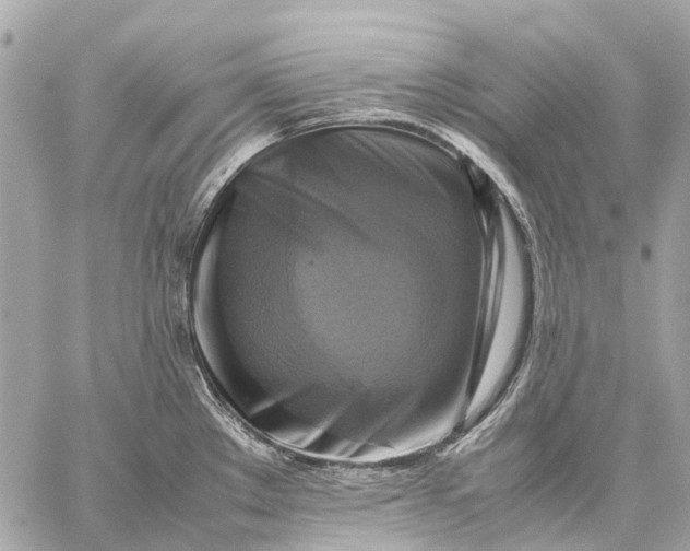 X0000059231289200511041232