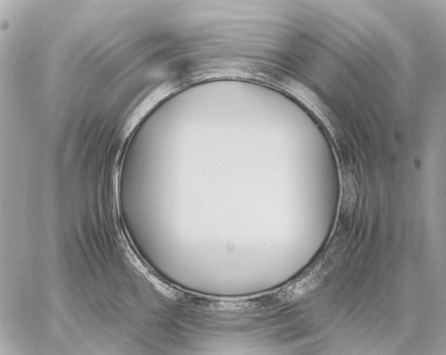 X0000059231290200511041232