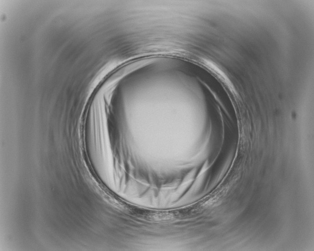 X0000059231291200511041232