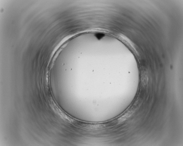 X0000059231292200511041232