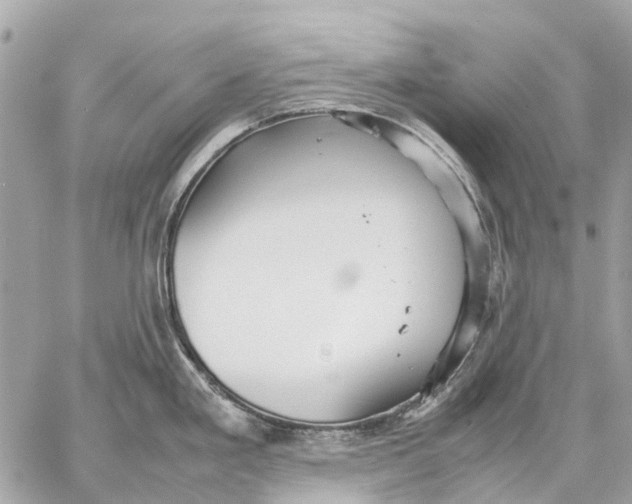 X0000059231293200511041232