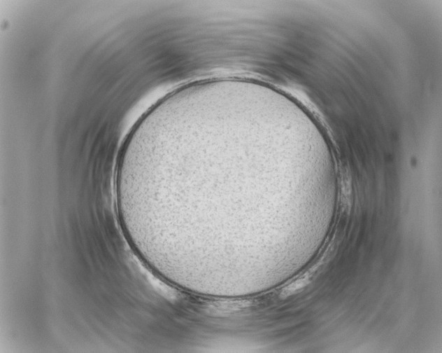 X0000059231294200511041232