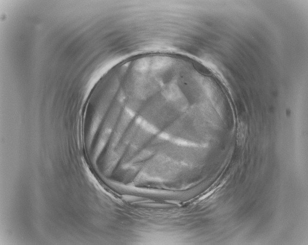 X0000059231295200511041232