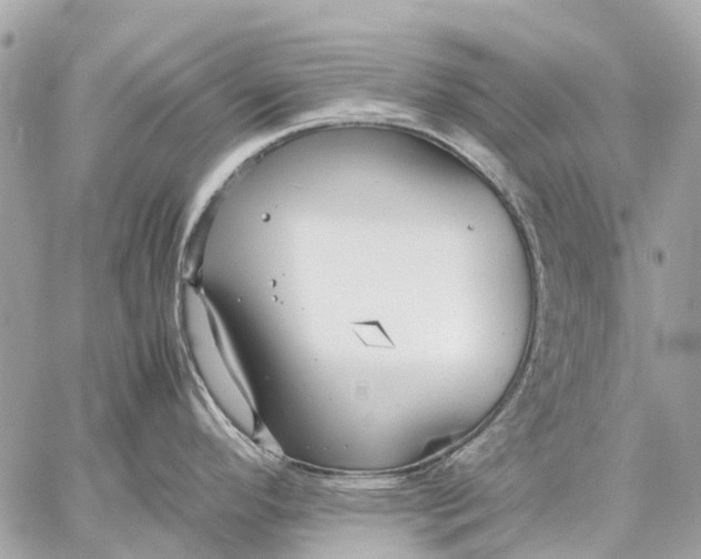 X0000059231296200511041232