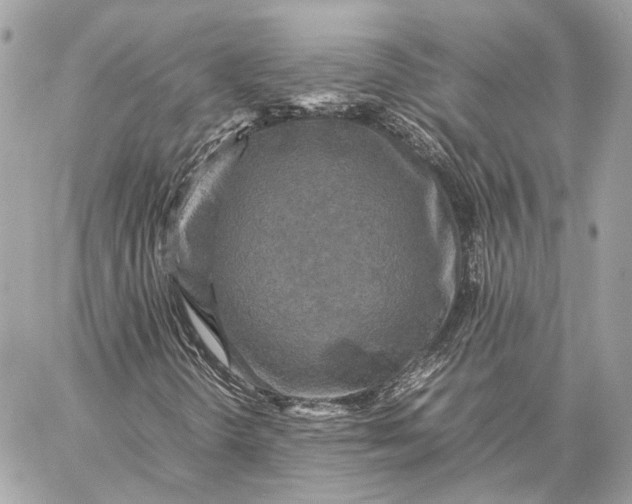 X0000059231298200511041231