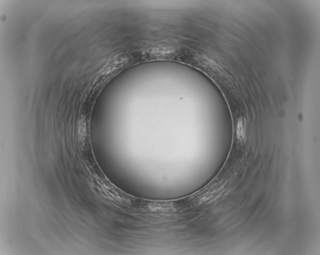 X0000059231299200511041231