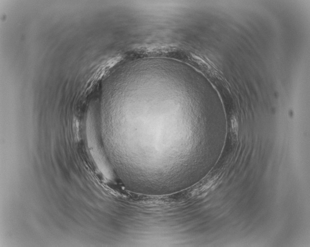 X0000059231300200511041231