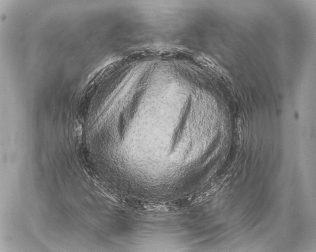 X0000059231302200511041231