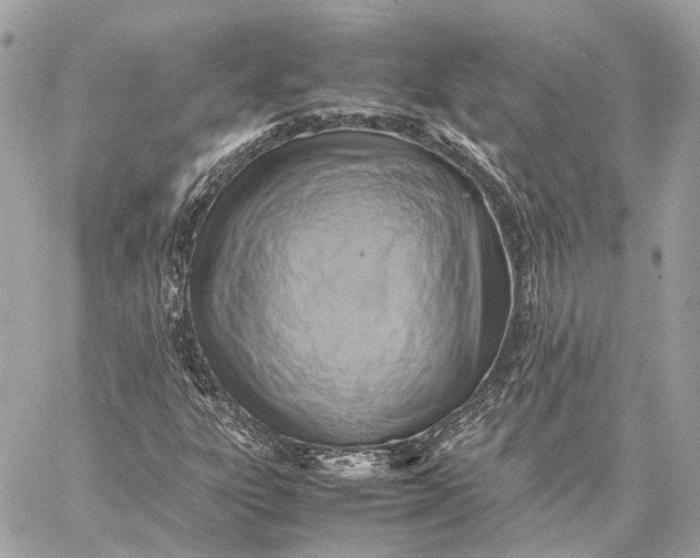 X0000059231303200511041231