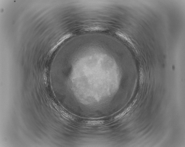 X0000059231305200511041231