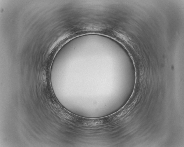 X0000059231307200511041231