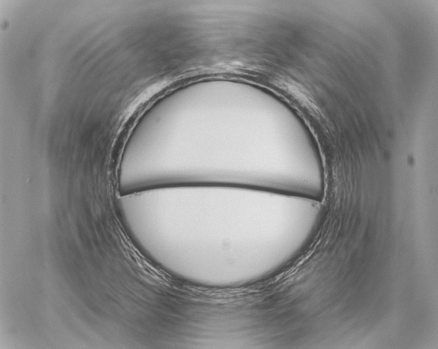 X0000059231308200511041231