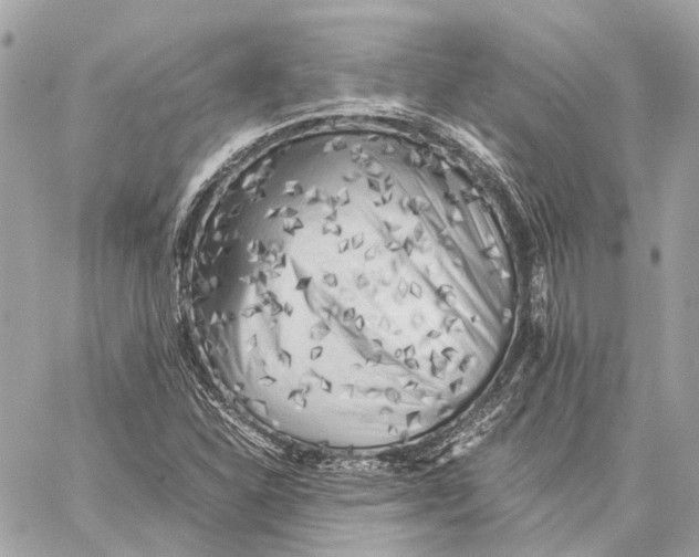 X0000059231310200511041231