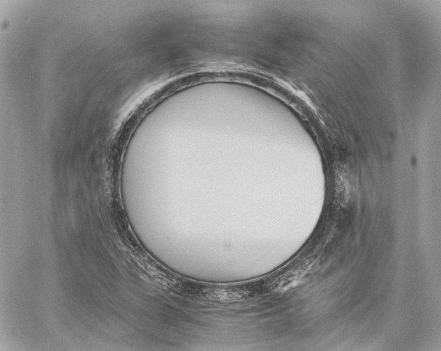 X0000059231311200511041231