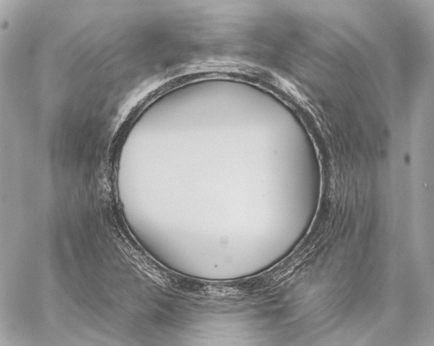 X0000059231312200511041231