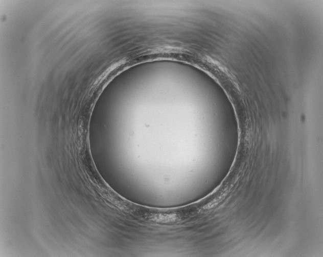 X0000059231313200511041231