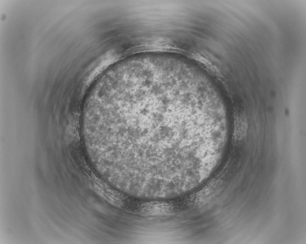 X0000059231314200511041231