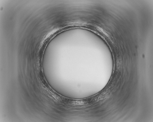 X0000059231315200511041231