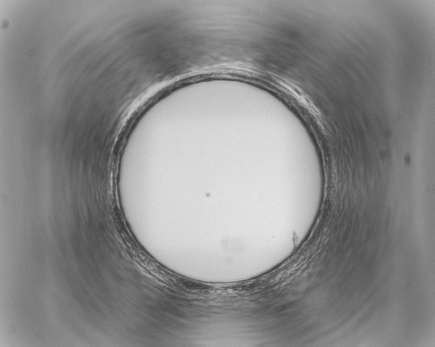 X0000059231316200511041231