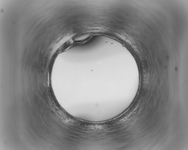 X0000059231317200511041231