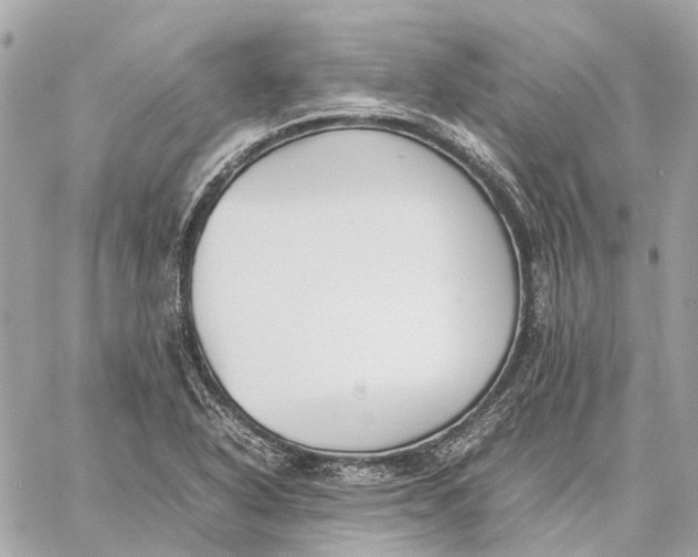 X0000059231318200511041231