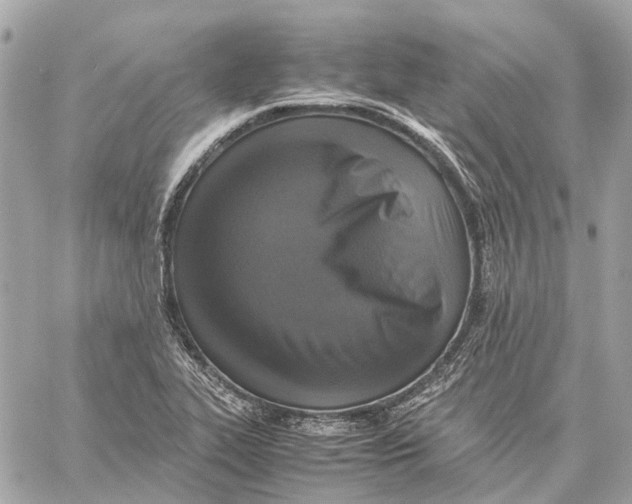 X0000059231319200511041231