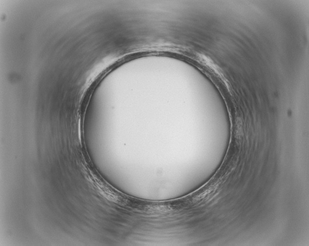 X0000059231320200511041231