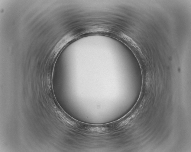 X0000059231321200511041231