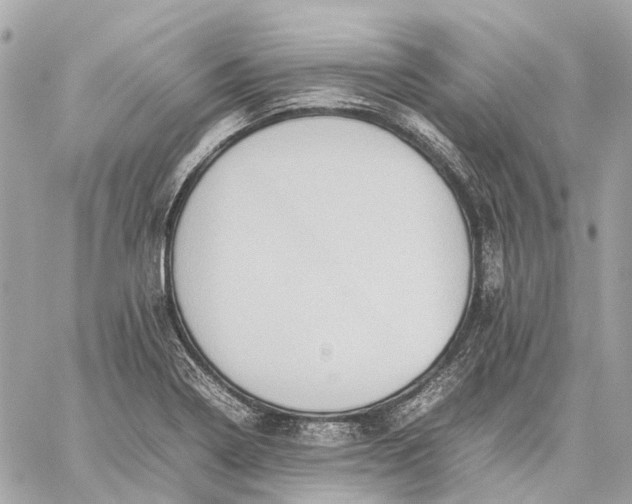 X0000059231322200511041231