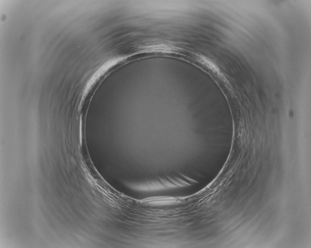 X0000059231323200511041231