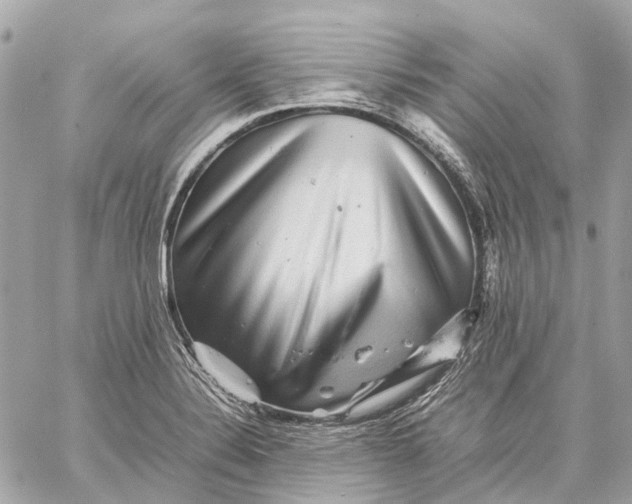 X0000059231324200511041231