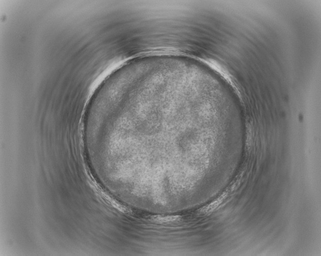 X0000059231325200511041232