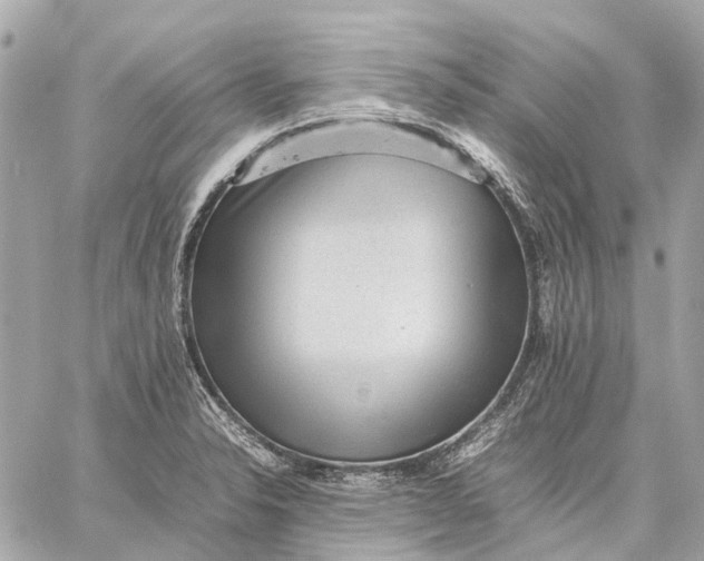 X0000059231326200511041232