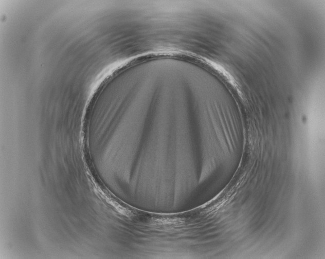 X0000059231327200511041232