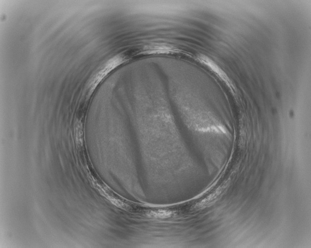 X0000059231329200511041232