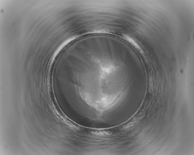 X0000059231331200511041232