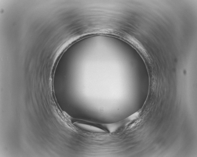 X0000059231332200511041232