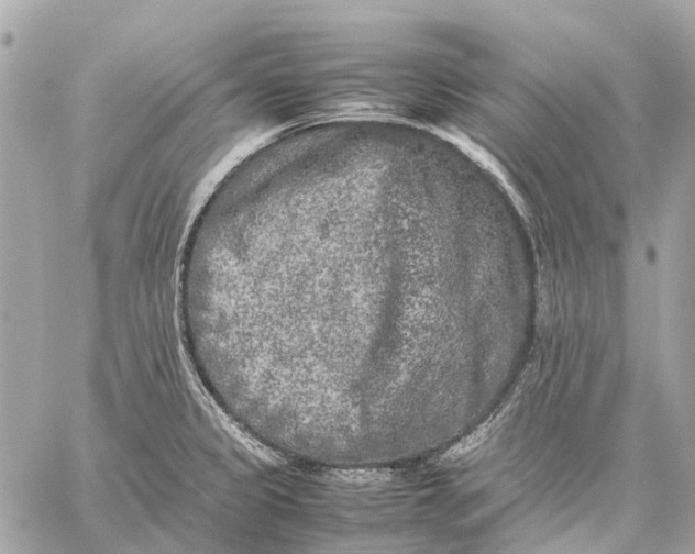 X0000059231333200511041232