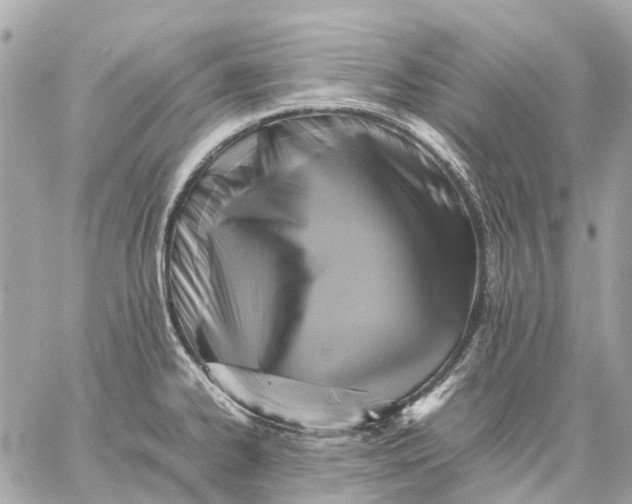 X0000059231334200511041232