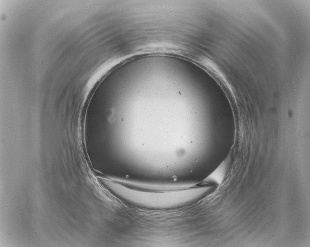 X0000059231336200511041232