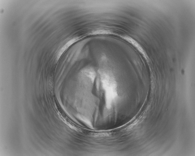 X0000059231337200511041232